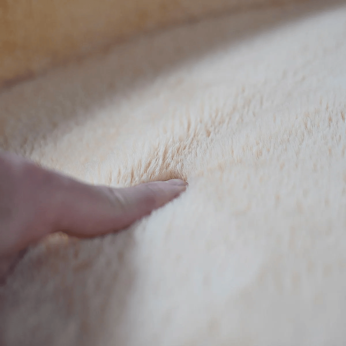 Housse orthopédique Beige